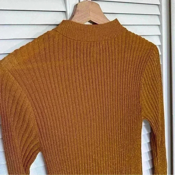 & Other Stories Autumn Fall Gold Glitter Ribbed Dress | Gold Brown Orange | SZ S - Picture 8 of 12